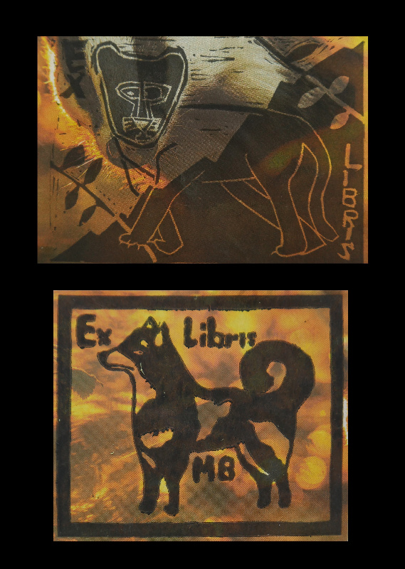 DSCI468805   Kopie (3)